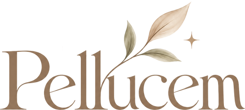 Pellucem | Modern Home Essentials
